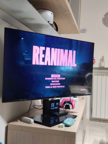 REANIMAL photo review
